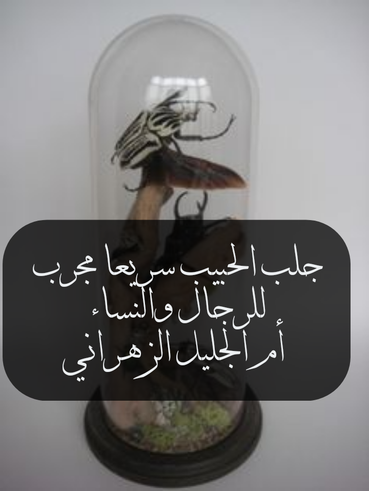 جلب الحبيب سريعا مجرب يصلح للرجال والنساء